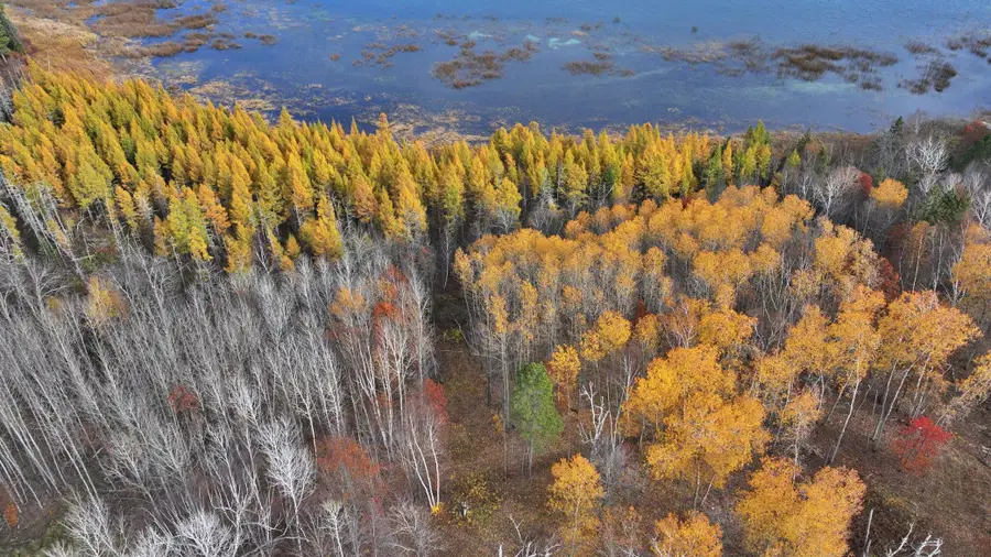 TBD County 4 - Lot 9, Lake George, MN 56458 - #3
