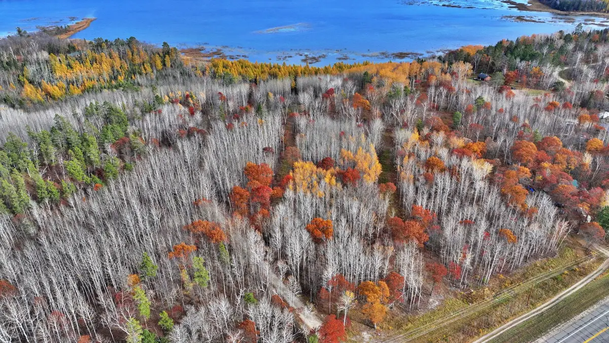 TBD County 4 - Lot 10, Lake George, MN 56458 - #1