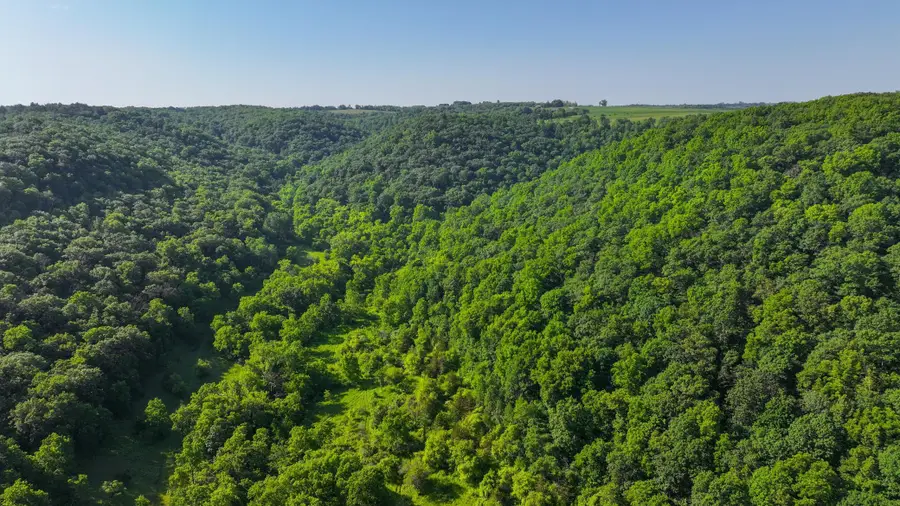 xxx East Twin Ridge Road, Houston, MN 55943 - #3