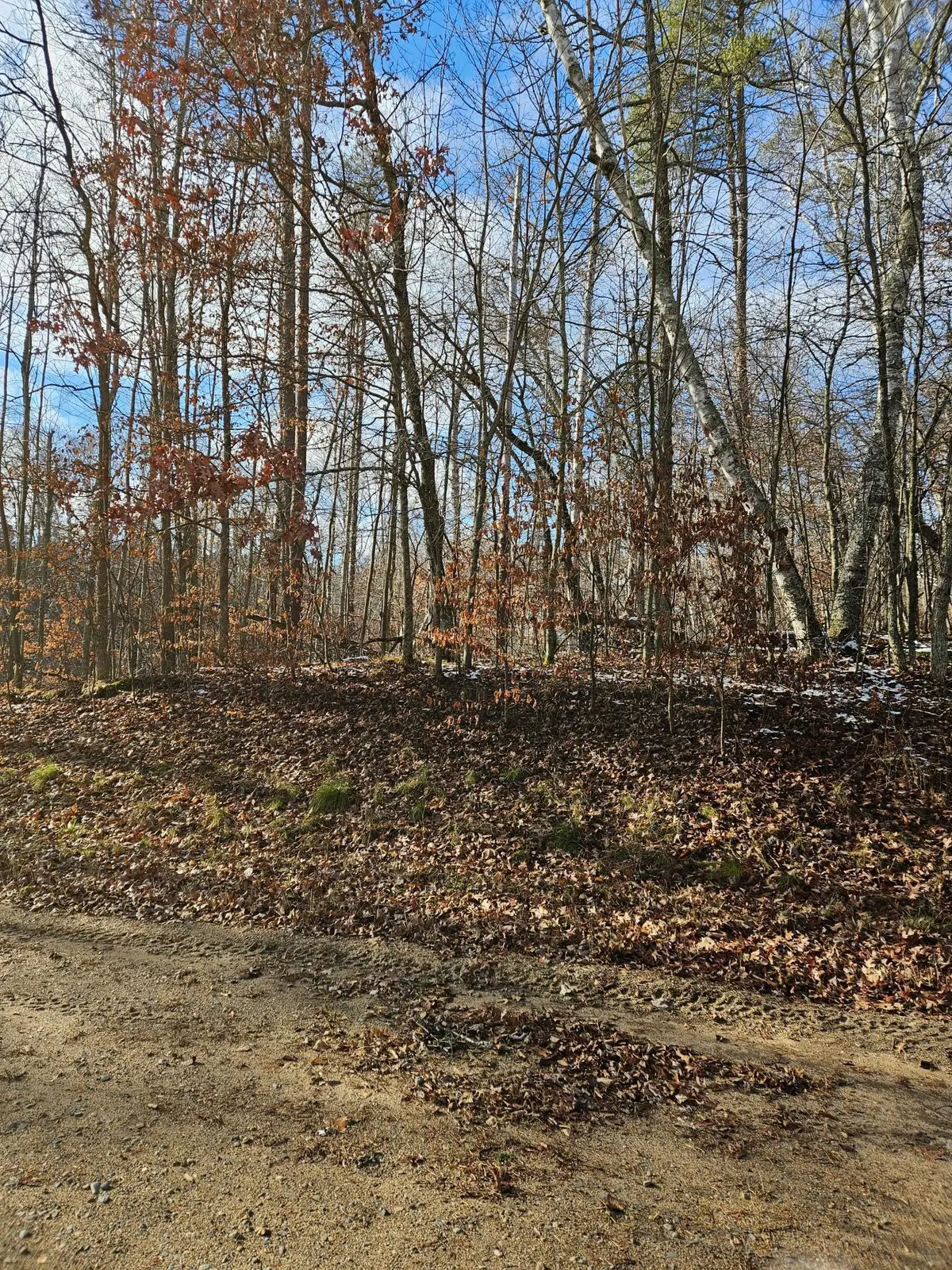 Lot 1 Raccoon Lane, Breezy Point, MN 56472 - #1