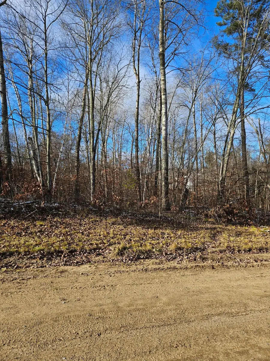 Lots 3 & 4 Raccoon Lane, Breezy Point, MN 56472 - #3