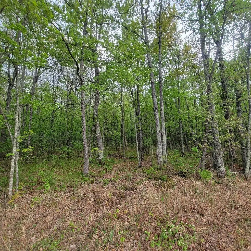Lot 11 County Road A, Spooner, WI 54801 - Image #1