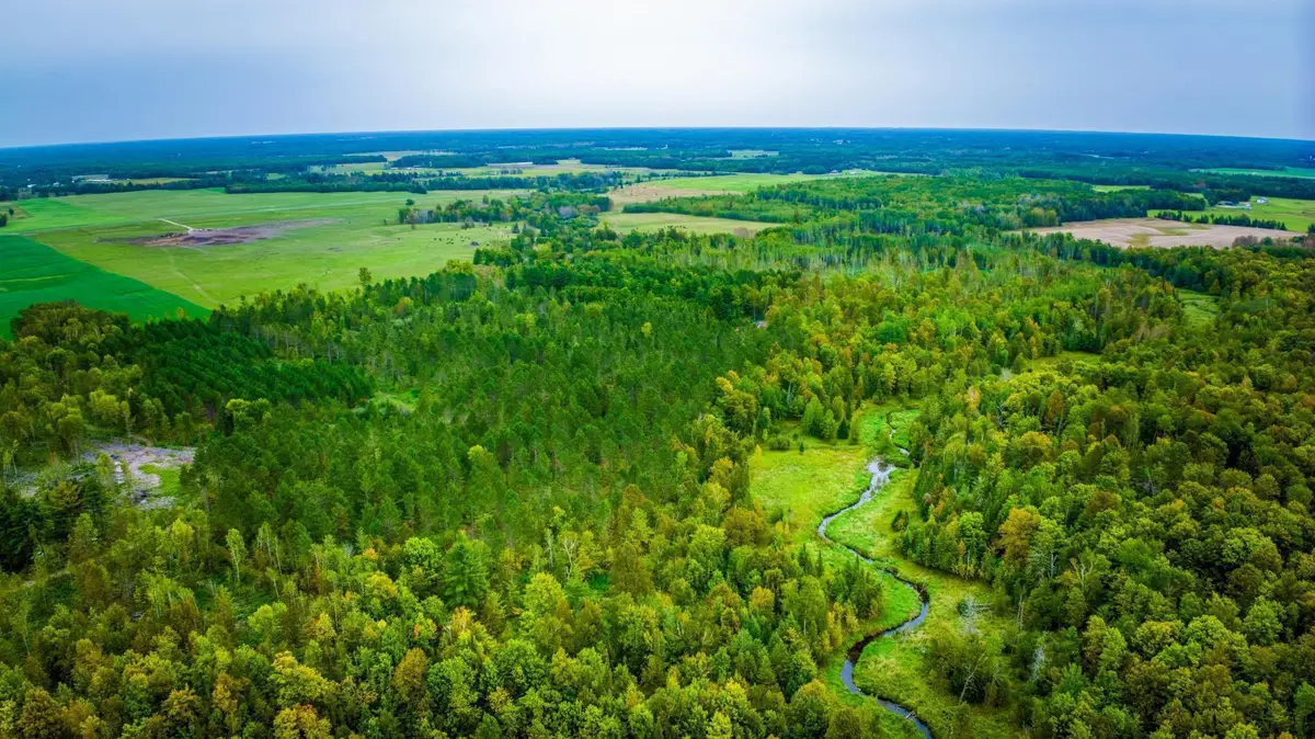 Lot 2 N Blackduck Lake Road Ne, Hines, MN 56647 - #1