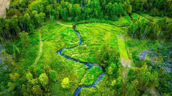 Lot 3 N Blackduck Lake Road Ne, Hines, MN 56647