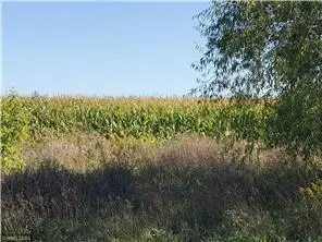 1137 178th St./dalton Farm Road, Lot 17, Hammond, WI 54015