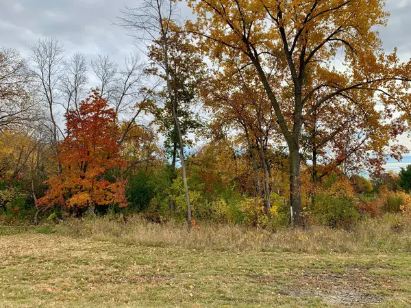 4400 Poppy Drive, Hamel, MN 55340