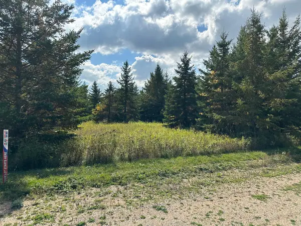 26785 Lidstrom Road, Detroit Lakes, MN 56501