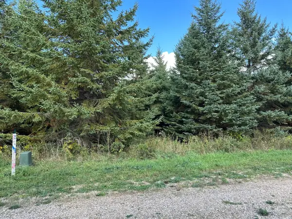 26795 Lidstrom Road, Detroit Lakes, MN 56501