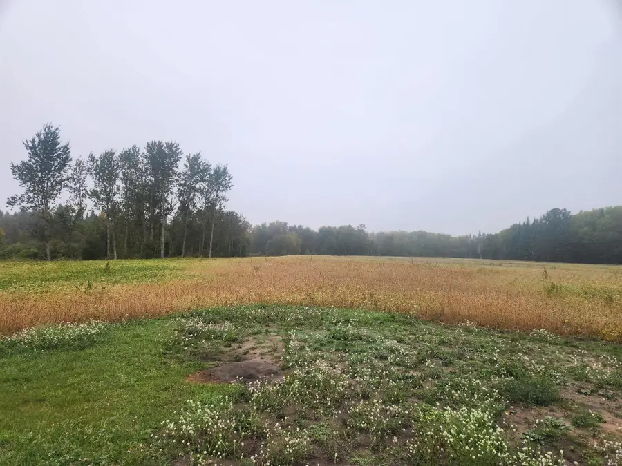 26596 Fawn Lane Ne, Kelliher, MN 56650 - Image #3