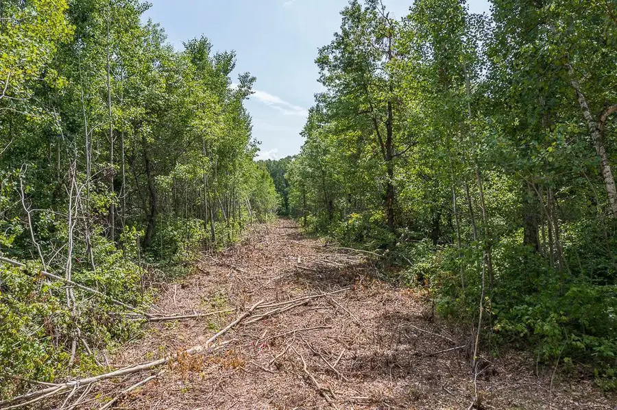 Tract D Polaris, Merrifield, MN 56465 - Image #3