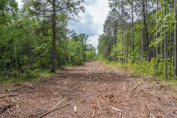 Tract C Tract C-polaris, Merrifield, MN 56465