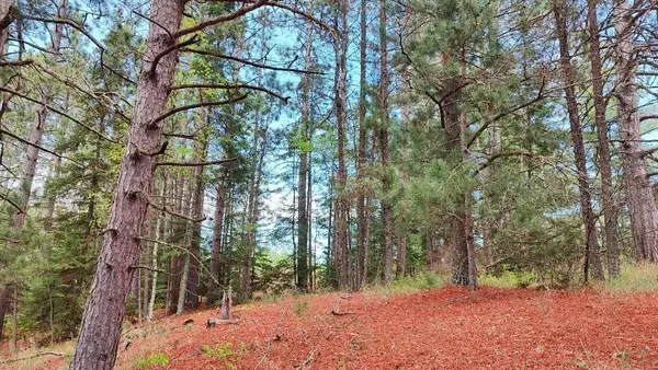 80064 Osprey Pass, Tower, MN 55790