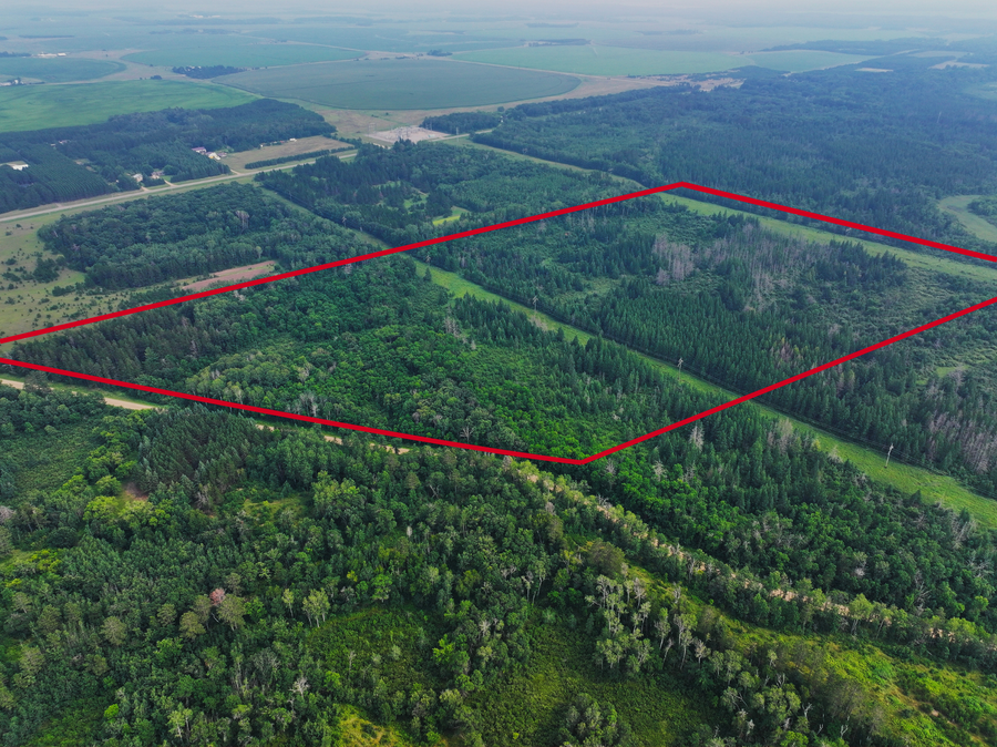 TBD Arbor Rd, Park Rapids, MN 56470 - Image #2