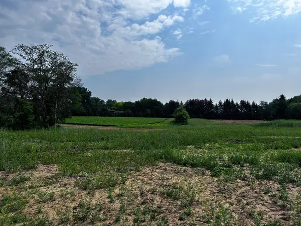 11454 Blazingstar Lane N, Lake Elmo, MN 55042