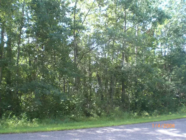 Lot 12 Fallen Leaf Circle, Breezy Point, MN 56472
