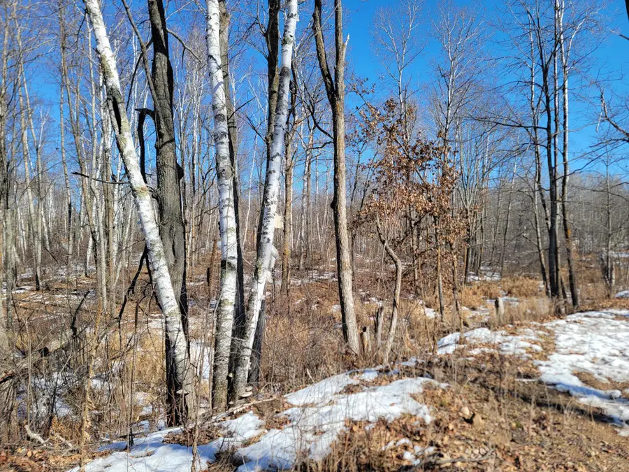 XXXX Meadow Lake Road Sw, Motley, MN 56466 - #2