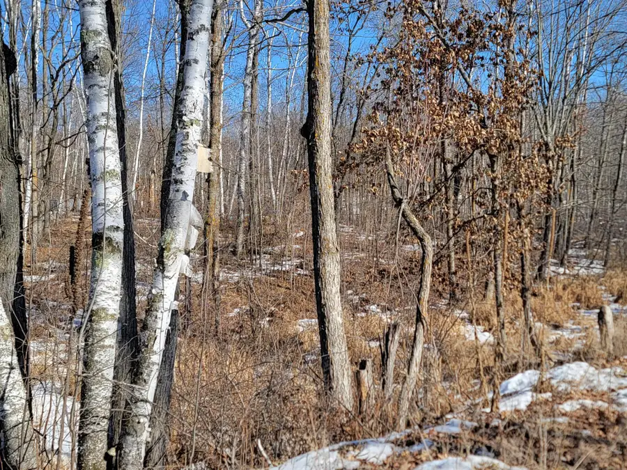 XXXX Meadow Lake Road Sw, Motley, MN 56466 - #3