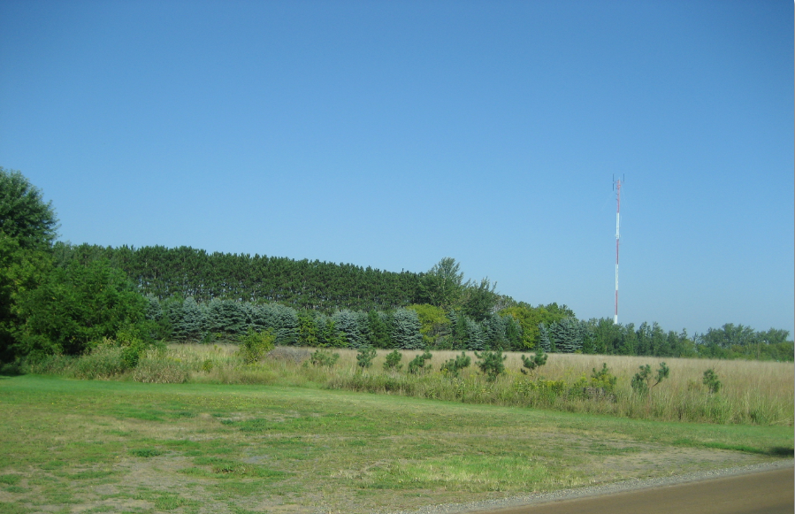 33388 Rochester Street Ne, Cambridge, MN 55008 - Image #2