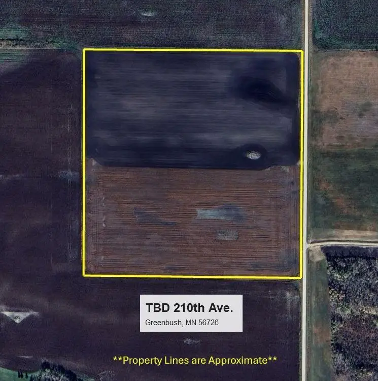 TBD 210th Avenue, Greenbush, MN 56726 - #1