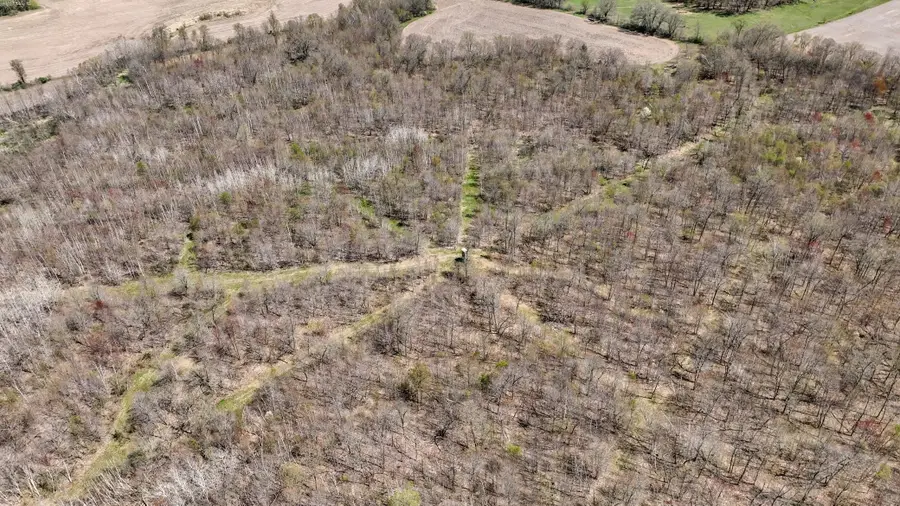 TBD Hwy 93, Eleva, WI 54738 - Image #2