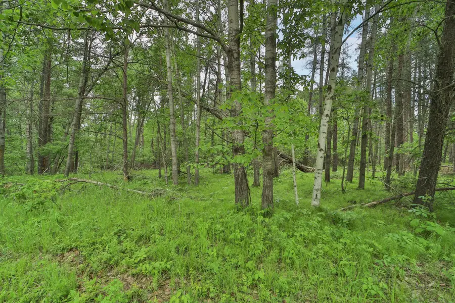 Lot 15 Cedar Street, Breezy Point, MN 56472 - Image #2
