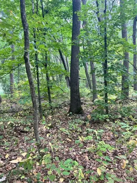 xxx Pebble Pass, Cushing, MN 56443