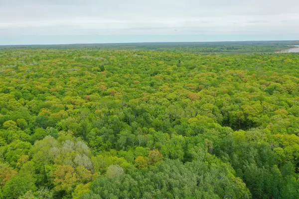 TBD Knopf Road, Rochert, MN 56578