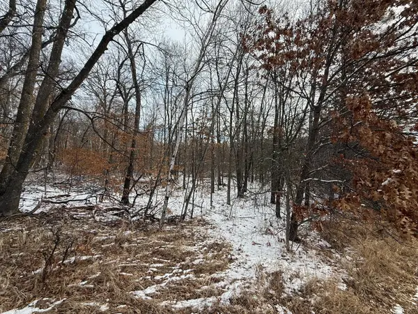 Lot 25 County Rd 11, Breezy Point, MN 56472