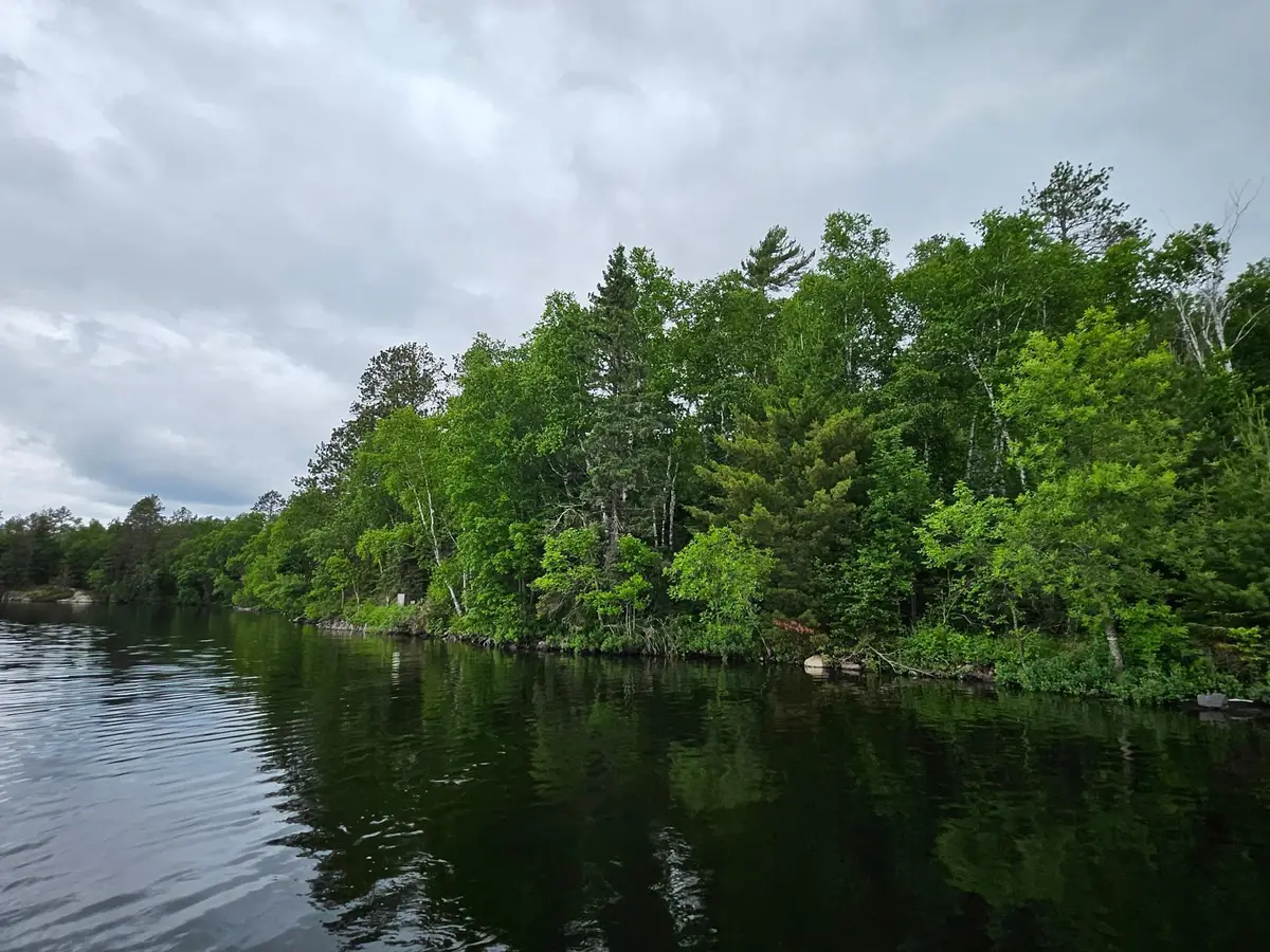 xxx Hinsdale Island, Cook, MN 55723 - Image #1