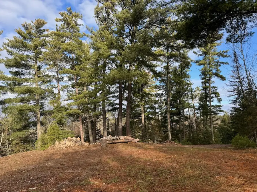 2922 Chaps Road, Cook, MN 55723 - Image #3