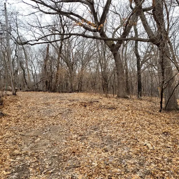 XXXX Eriks Boulevard, Eagan, MN 55122