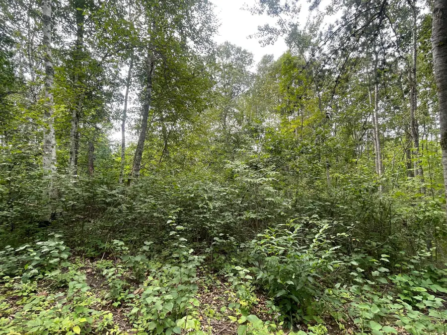 Lot 2 Patriot Ave, Pequot Lakes, MN 56472 - #2