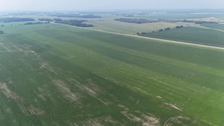 TBD County 61, Browerville, MN 56438 - Image #3