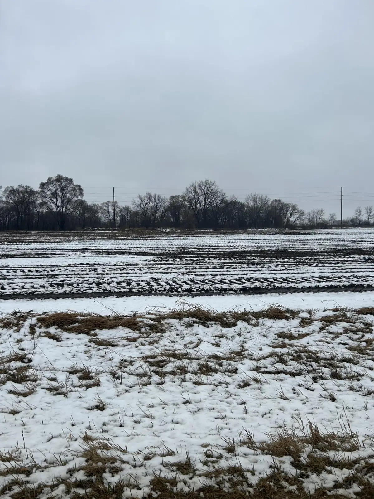 Lot 2 Block 1 Cannon River Blvd, Randolph, MN 55065 - Image #1