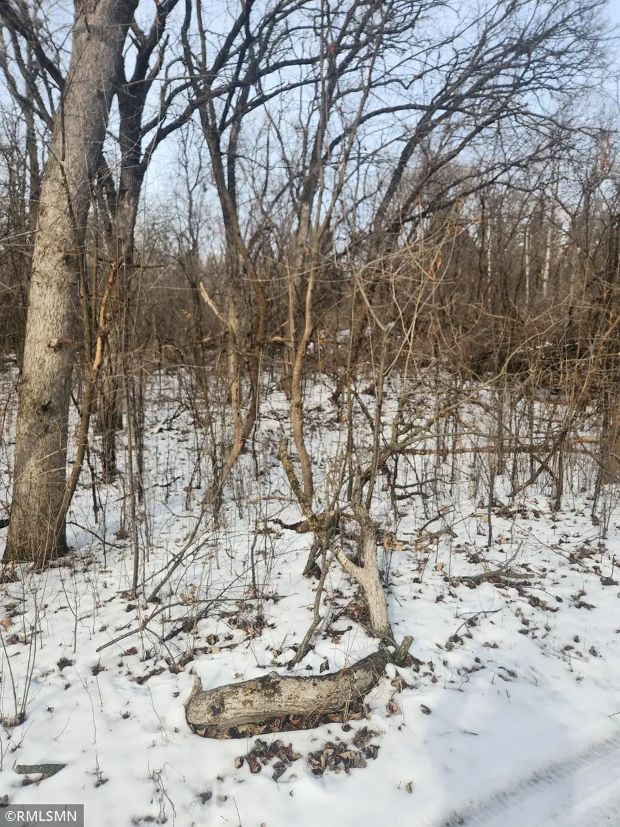 18290 Clayton Avenue, Hastings, MN 55033 - Image #2