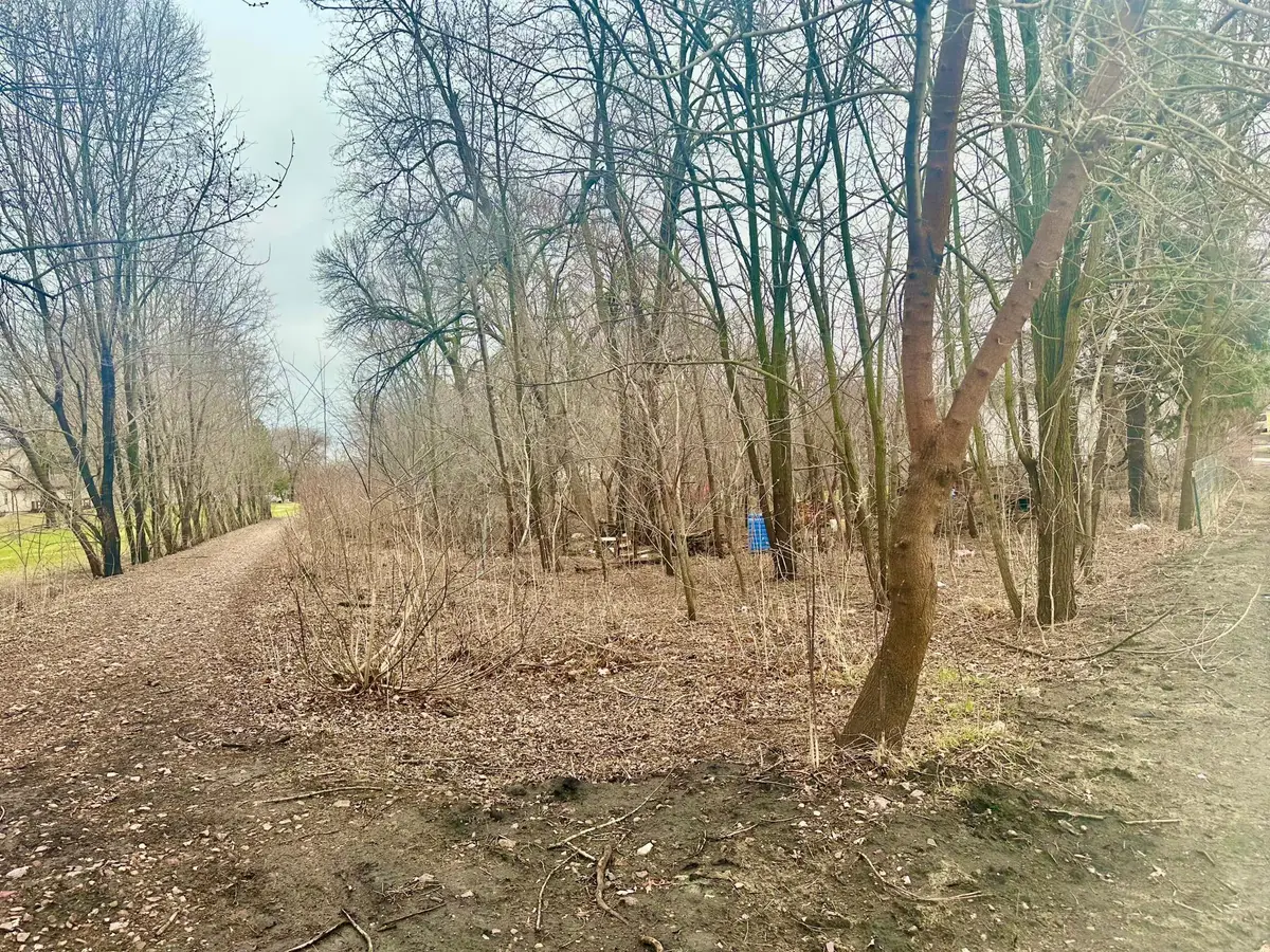 318 Winter Avenue, Albert Lea, MN 56007 - Image #1