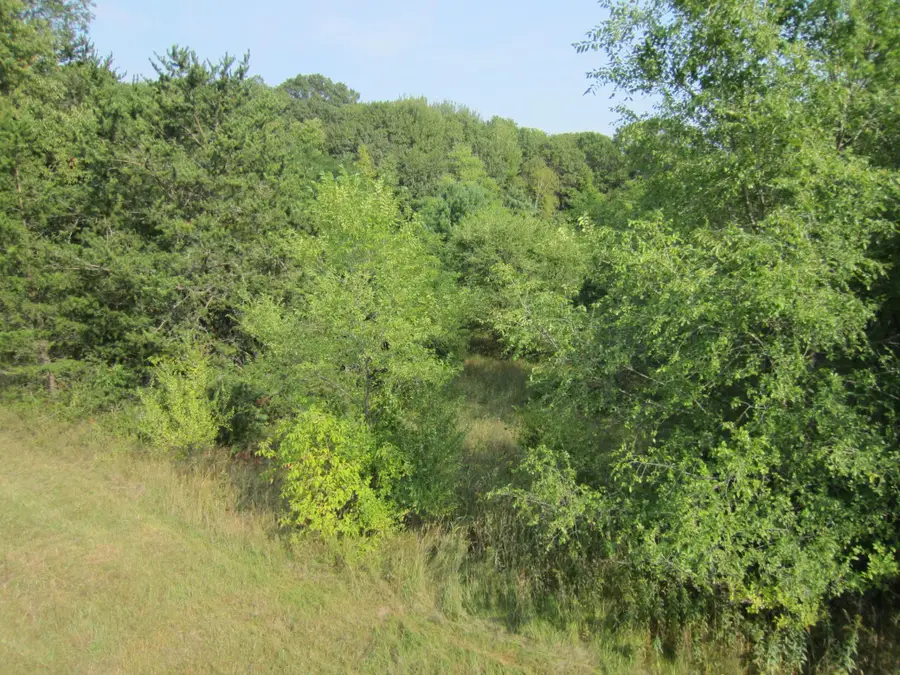 Lot 6 Block 1 Kettle River Boulevard Ne, Columbus, MN 55025 - Image #2