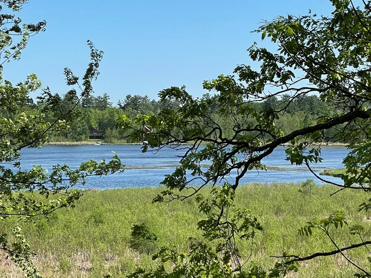 TBD Wedgewood Road Nw, Walker, MN 56484 - #1