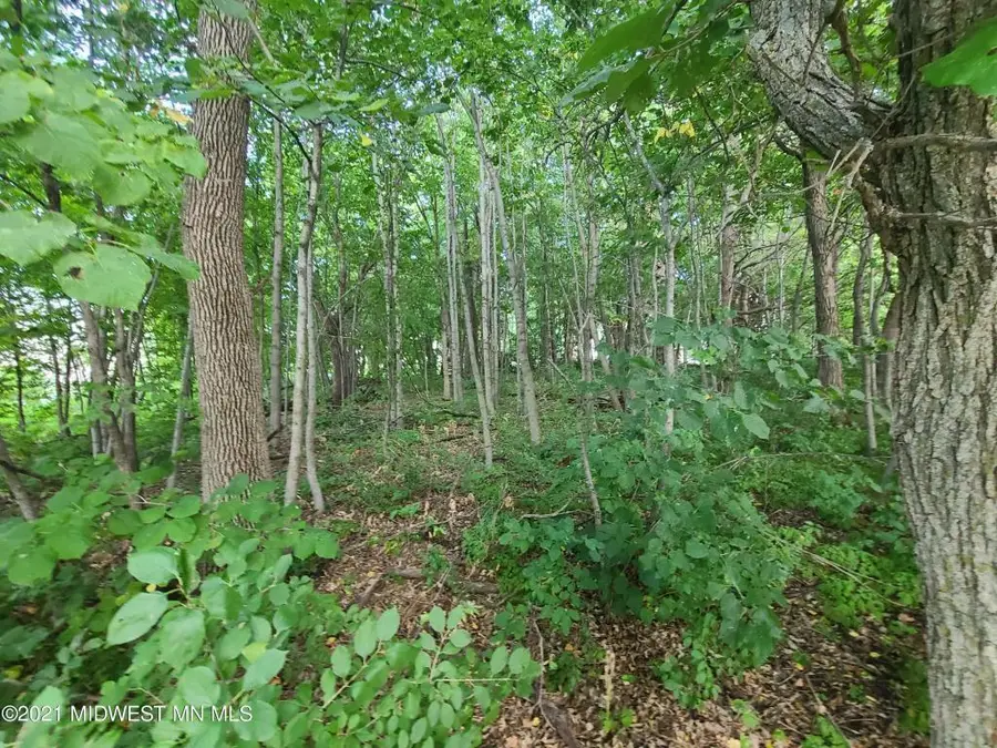 19733 Audubon Lake Road, Audubon, MN 56511 - Image #3