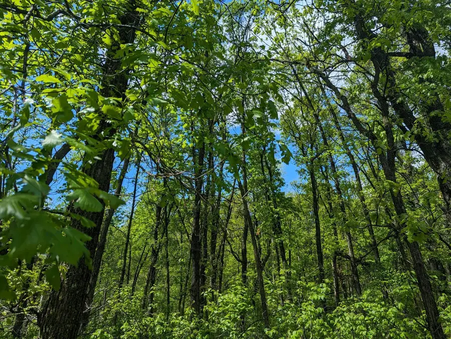 L44 B1 Navaho Trail, Breezy Point, MN 56472 - #2