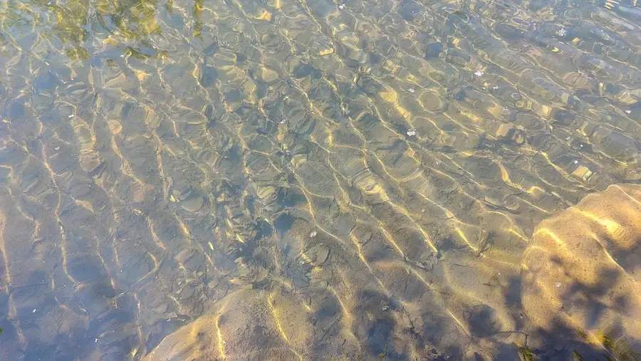 80052 Tamarack Trail, Tower, MN 55790 - Image #2