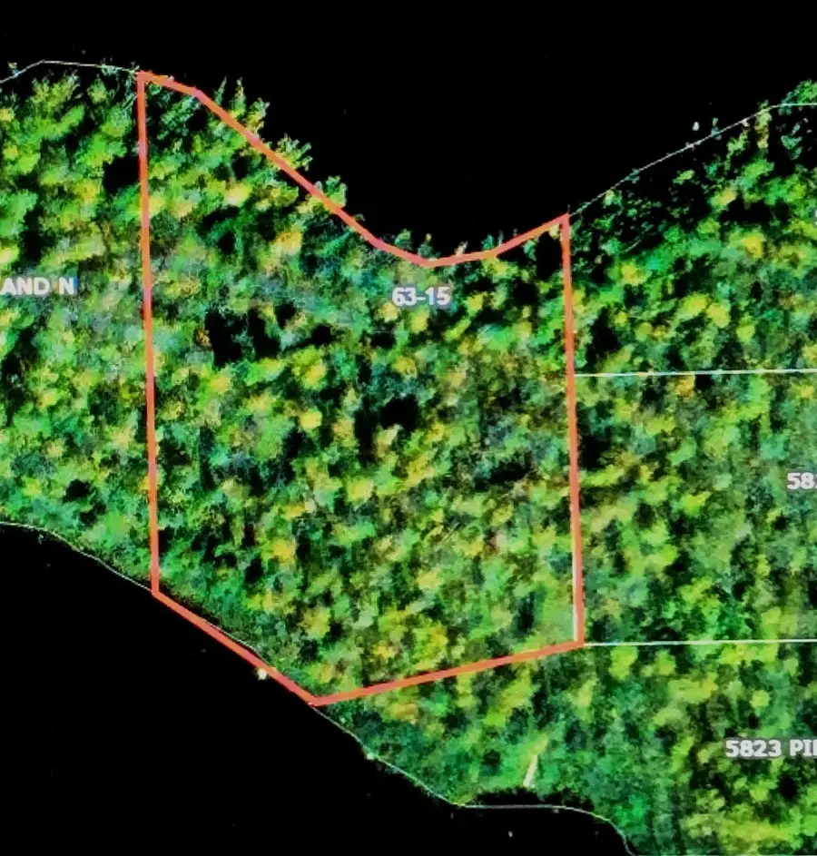 5829 Pine Island N, Tower, MN 55790 - #2