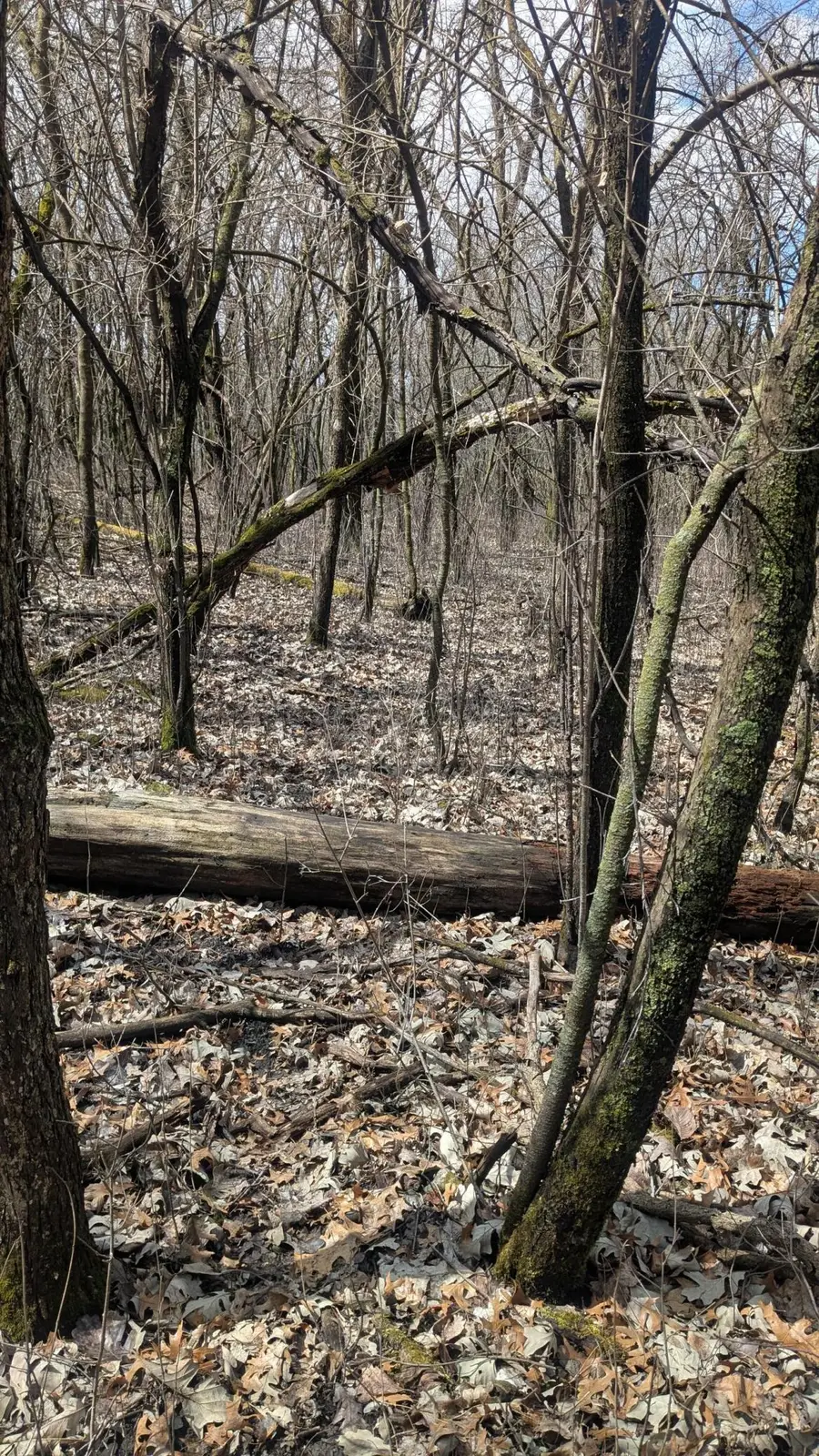 xxx Crosby Dr, Hudson, WI 54016 - Image #3