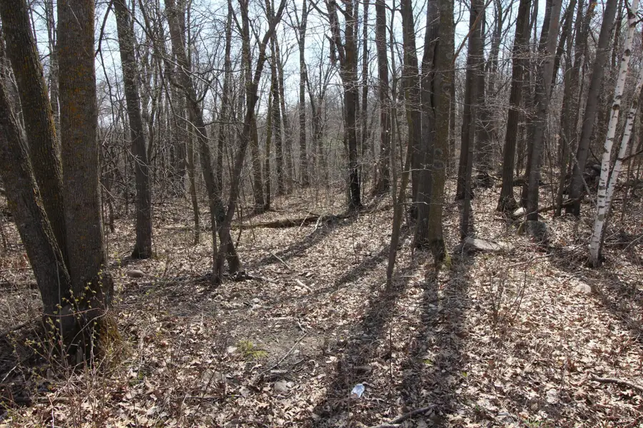 XXX Lake Camille Dr., Randall, MN 56475 - #2