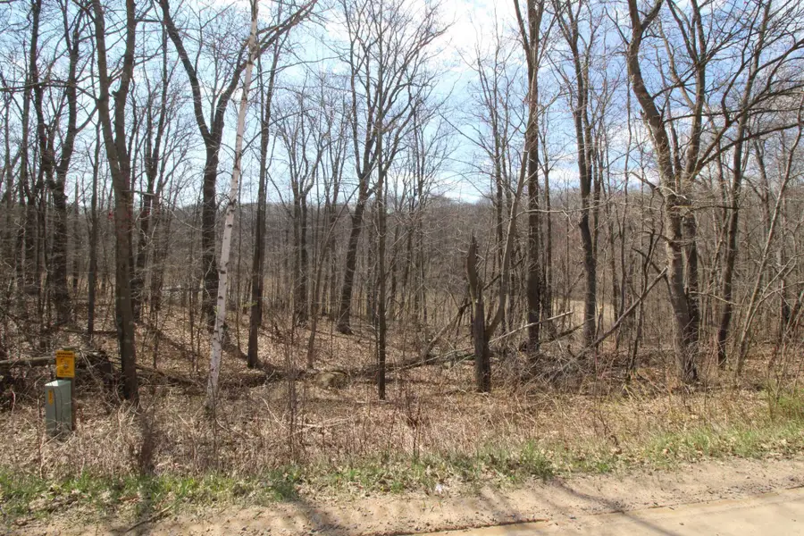 XXX Lake Camille Dr., Randall, MN 56475 - Image #3