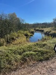 0000 Wick Road, Saginaw, MN 55779