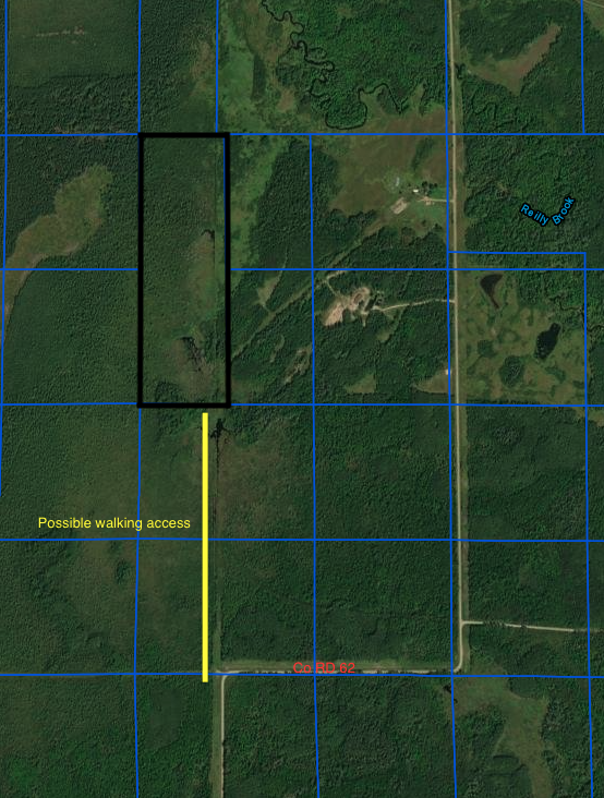 TBD Co Rd 62, Effie, MN 56639