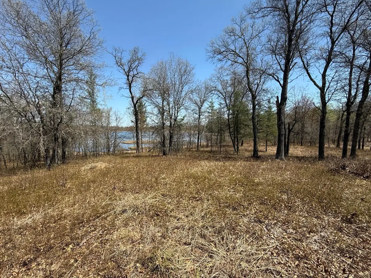 29937 N Bay Drive, Danbury, WI 54830 - #1