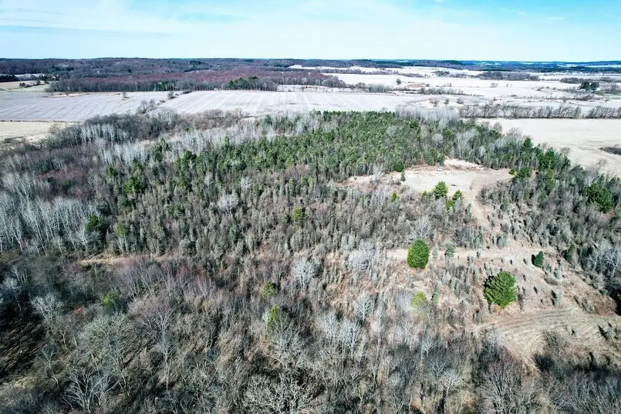 N48025 County Hwy B, Osseo, WI 54758 - Image #3