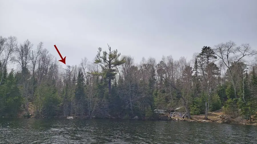 TBD Muskego Point, Cook, MN 55723 - Image #2